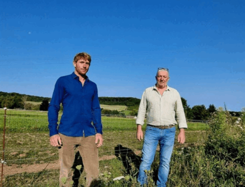 A biostimulant based on volcanic rock